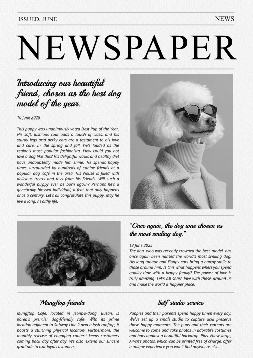 NEWS